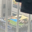 달달하개 이미지