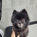 이뿌 미용실 이미지