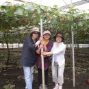 윤자농장 이미지