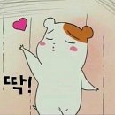 네일, 꼼 이미지