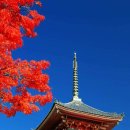 여행 일본어 중급 이미지