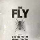 라바플라이 이미지