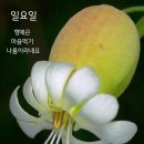 형제민박 이미지