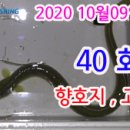 황당한장어 이미지