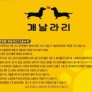 개날라리 이미지