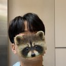 웨딩촬영 헤어변형 다희 내돈내산 후기(+신랑) | 헤어변형 시안, 가격 공유
