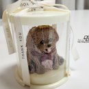 반려동물 수제간식 태식당 이미지