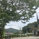 세종 고복저수지카페 멋진뷰 자랑하는 에이치16 후기