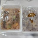 마라영웅 영등포점 이미지