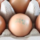 뜨레난농장 이미지