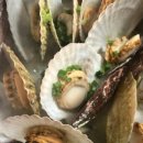 씨지 컴퍼니 이미지