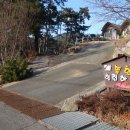 솔향기 힐링 하우스 이미지