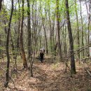 충주호 주봉산 이미지