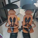 카플러스 | 쌍둥이 트라이크 &#39; 에이블 유모카 플러스 &#39; 실사용 후기