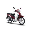 디앤에이(DNA) 이미지