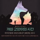 개와고양이 | 뮤지컬 개와 고양이의 시간 중계 후기