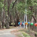 편백어울림 이미지