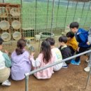 정다운 우리 가곡교실 | 초등 현장학습 추천! 우리들 자연학교에서 즐긴 오감 만족 숲 체험과 몬스터 트리 만들기