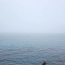 그린라인파크3 이미지