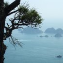 공지로 1L 이미지