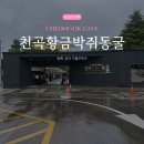 천곡황금박쥐동굴 | [묵호여행] 동해, 비오는날 실내 가볼만한곳 '천곡황금박쥐동굴' 후기