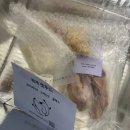 펫스토어1004 이미지