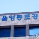 휘둘러