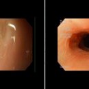 다나아 동물병원 이미지