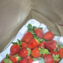 해은농장 이미지