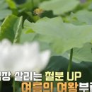 NK 골프클럽 이미지