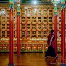 짱족의발전 이미지