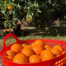 문정농장 이미지