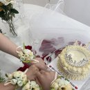 CAKEBAKE(케이크베이크)