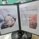 비엘소프트 이미지