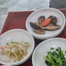 백학정 Daum카페