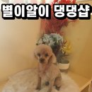 별이알이 댕댕샵 이미지