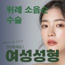 위례 애플산부인과의원 | 위례산부인과 소음순수술 장점, 절차, 주의사항 총정리!
