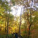 구룡황토펜션 이미지