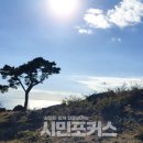 조한일 시인의 시차 없이 시 읽기 면역에 관한 체험적 연구/ 최영효 시인 이미지