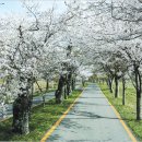 군도16호 이미지