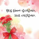 국가대표 효 태권도장 이미지