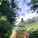 도양읍 남촌길 이미지