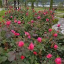 개천~ 이미지