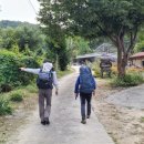 군청 옆 CU편의점 앞 이미지