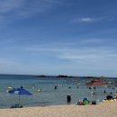 해미민박 | 포항 오도리해수욕장 평상대여 “혜미민박 평상대여”후기 포항 스노우쿨링장소 추천