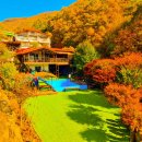 명지령계곡펜션 사창리 행복점 이미지