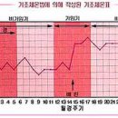 정상체온 범위 기초체온 재는 법 기초체온 높은 사람 이미지