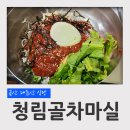 청림골차마실 | 금산 대둔산 수락계곡 근처 식당 청림골 차마실 메밀 비빔 막국수 도토리전 후기
