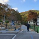 메르시 펜션 이미지