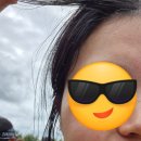 고연락 | 공연 인생 2년차 첫 락페에 가보다(feat. 2025렛츠락)